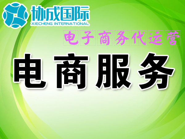 企业电子商务代运营服务
